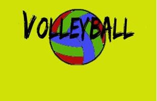 Picture for category Volleyball