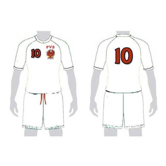 Picture of Volleyball Kit Style PVS 218 Custom