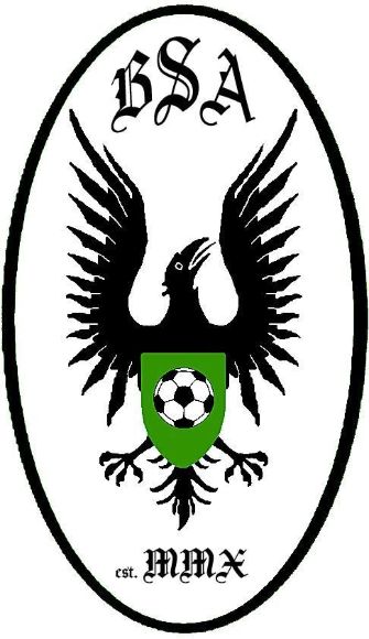 Picture of Soccer Shorts Style BSC 100 Custom