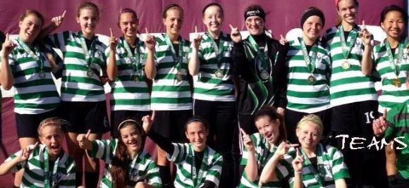 Picture of Soccer Shorts Style BSC 100 Custom