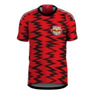 Picture of 2024-25 New York Soccer Jersey - Lightweight Fabric & Standard Size, Moisture-Wicking Fan Shirt, Comfortable Fit