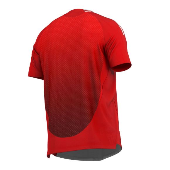 Picture of MANCHESTER 2024-25 Soccer Jersey
