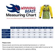 Picture of Goalie Jersey with Padded Elbows, Lightweight Fabric, US Standard Size & Full Sleeves Unisex Soccer Shirt