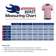 Picture of 2024-25 Miami Soccer Jersey - Lightweight Fabric & Standard Size, Moisture-Wicking Fan Shirt, Comfortable Fit